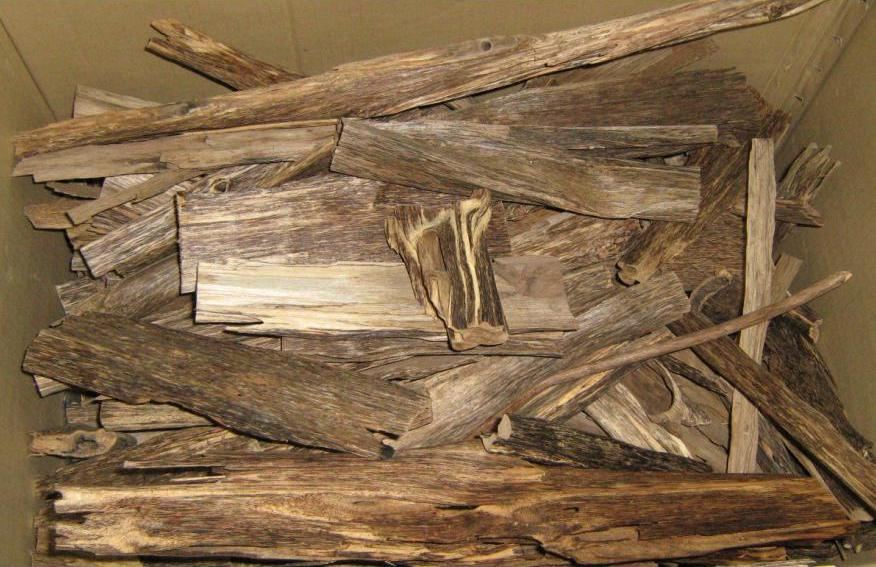 Pieces of top-grade agarwood, known as oud